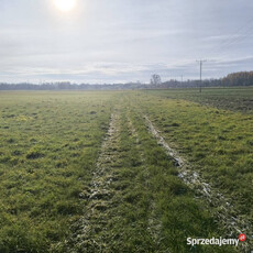 Syndyk sprzeda udziały wysokości 2/7 nieruchomości gruntowej niezabudowanej