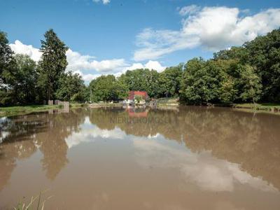 Dom na sprzedaż 4 pokoje strzeliński, 240 m2, działka 22300 m2