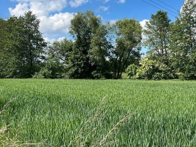 Działka budowlana Przyszowice