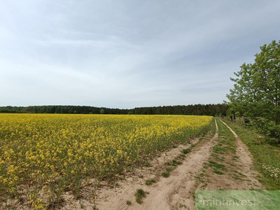 Goleniowski, Goleniów, Stawno