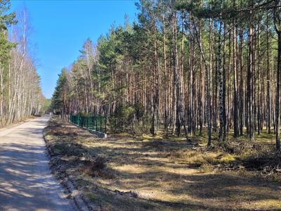 Działka na sprzedaż, Chojnicki, Brusy