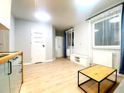 Apartament, ul. Lewandowskiego