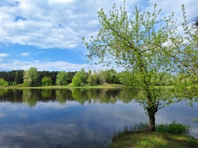 Domek letniskowy Szygówek