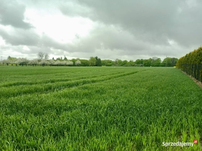 Działka budowlana, dostęp do rzeki, Łęczna, Sprzedaż.