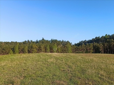 Działka na sprzedaż, Tucholski, Tuchola gm, Łosiny