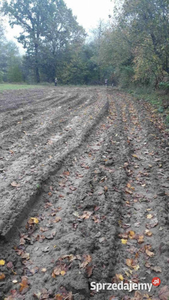 Sprzedam nieruchomość rolną - Rąbino