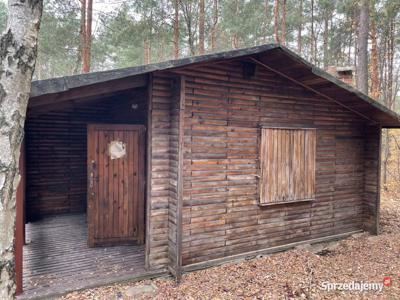 Domek letniskowy w lesie 4 km od Radzymina