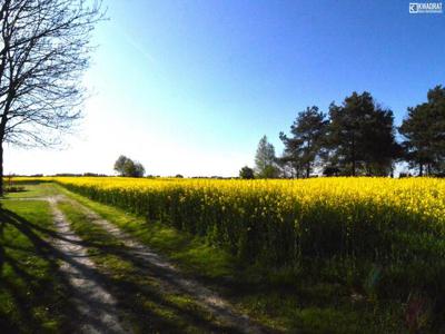 Działka budowlana Jakubowice Końińskie-Kolonia