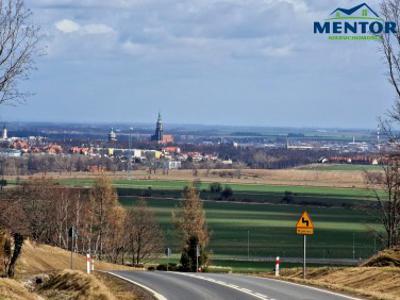 Lokal użytkowy, Zwierzynieckie