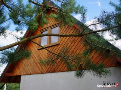 Spokój, natura …piękne okoliczności przyrody