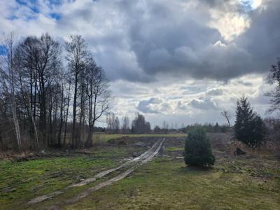 Warszawski Zachodni (pow.), Stare Babice (gm.), Borzęcin Mały