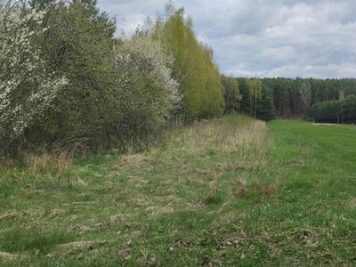 Dom na bardzo dużej działce. DO NEGOCJACJI