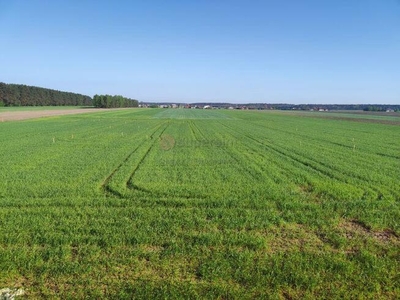 Działka budowlana Galewice