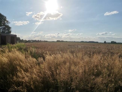 Atrakcyjna działka budowlana Nowa Wieś Kącka