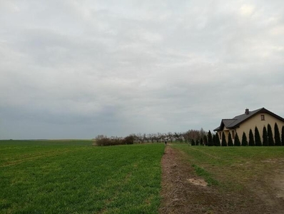 Działka budowlana Ceradz Kościelny gm. Tarnowo Podgórne,