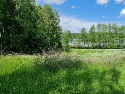 Działka budowlana Dąbrówno