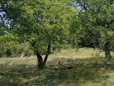 Działka rekreacyjna ROD Bażant na Psim Polu