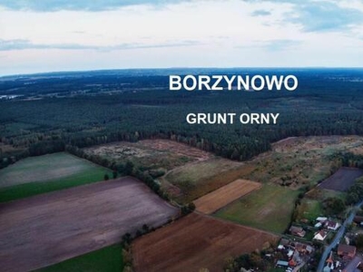 Działka rolna Borzynowo gm. Milicz,