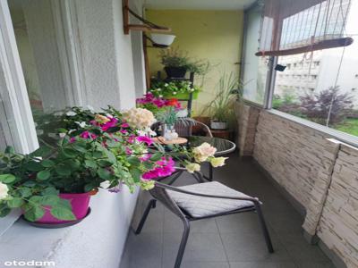 4 pokoje, duży balkon, 62,60 m2