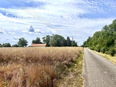 Działka siedliskowa Żaby