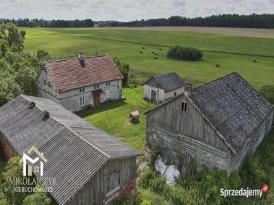 Klimatyczne siedlisko na Warmii / 3,67 ha / Ardapy