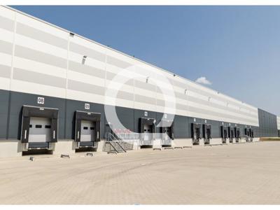 Magazyn do wynajęcia 7 214,00 m², oferta nr QRC-HW-6958