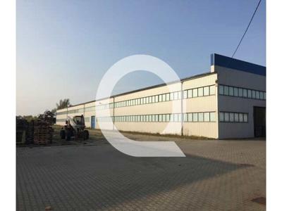 Magazyn do wynajęcia 7 500,00 m², oferta nr QRC-HW-7106