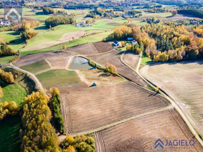 Działka (Siedliskowa) - Borzestowo