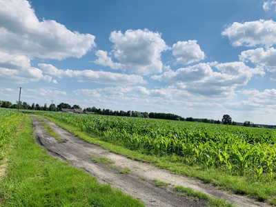 Działka pod budowę 3.001 m2 Zławieś Mała