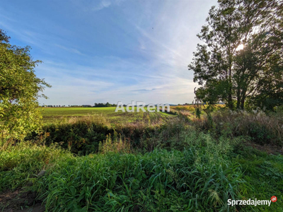 Sprzedam działka 3600m2 Sadowice