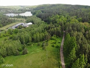 11 ha Klonowo dolne -Przywidz grunty zabudowa wielofukcyjna