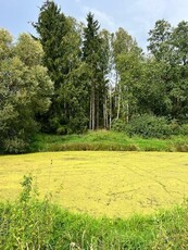 Działka siedliskowa Henryków-Urocze gm. Piaseczno, Henryków Urocze