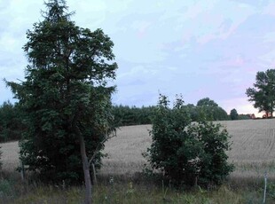 Mieszkanie uroczej okolicy z dobrym dojazdem pełna własność