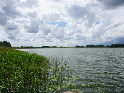 Działka na sprzedaż, Ełcki, Rogale