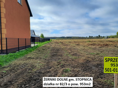 Buski (Pow.), Stopnica (Gm.), Żerniki Dolne