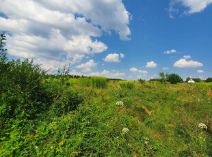 Dąbrowa Górnicza, Sikorka