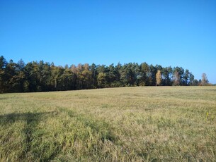 Działka przy lesie, 2,78 ha z warunkami zabudowy