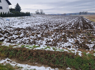 Krakowski, Kocmyrzów-Luborzyca, Wilków