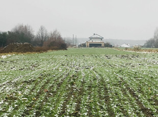 Tarnogórski (pow.), Świerklaniec (gm.), Nowe Chechło