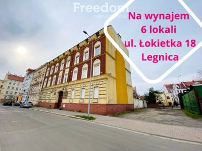 Biuro, ul. Władysława Łokietka