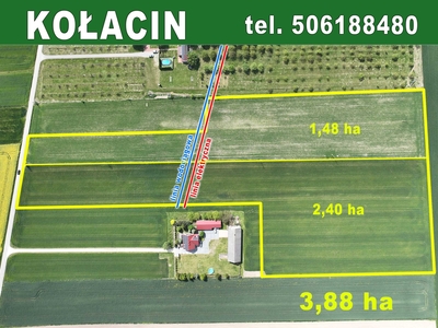 Duża działka rolno-budowlana Kołacin - 1,48 ha