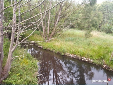 Działka z linią brzegową.Działka budowlana.