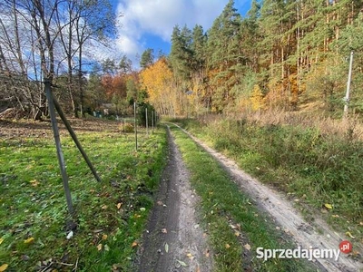 syndyk sprzeda nieruchomość w Widlicach