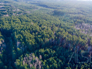 Działka leśna Tumanek