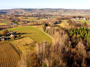 Działka leśna, ul. Rolnicza