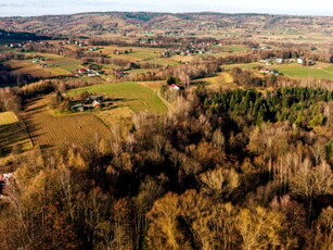 Działka leśna, ul. Rolnicza