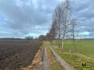 Działka rolno-budowlana Leszczyn