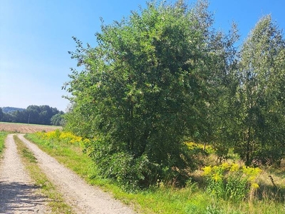 2 działki budowlane Niecki k. Białegostoku