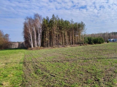 Działka budowlana 4000m2 k. Opoczna