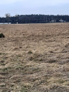 Działka budowlana Warząchewka Królewska